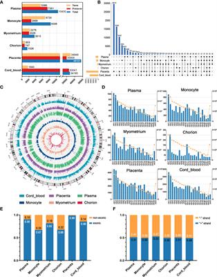 The landscape of circular RNA in preterm birth